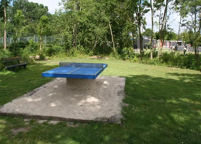 Comfortabel 6-Persoons Huisje Nabij Strand, Bos, Duinen En Stad