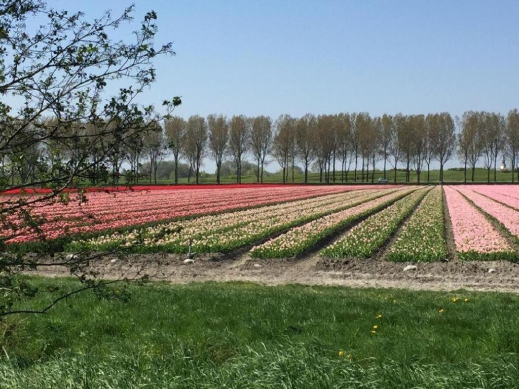 Comfortabel 6-persoons Nabij Strand, Bos, Duinen En * Warmenhuizen