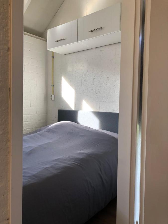 Comfortabel 6-persoons Nabij Strand, Bos, Duinen En Holiday home
